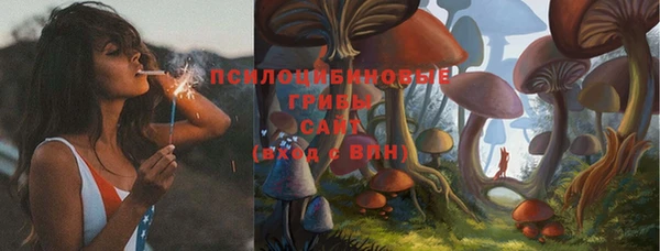индика Абаза