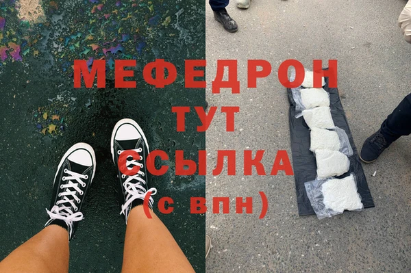 индика Абаза