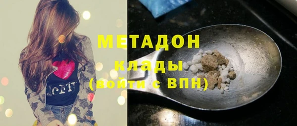 индика Абаза