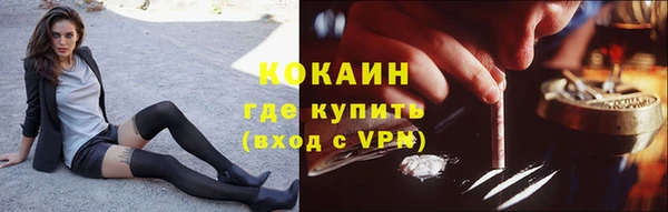 индика Абаза