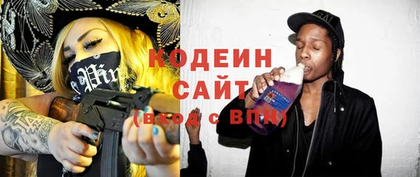 индика Абаза
